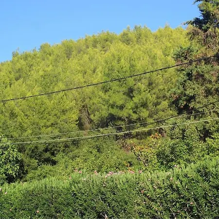 Serenity στο συκάμινο ωρωπού Holiday home *