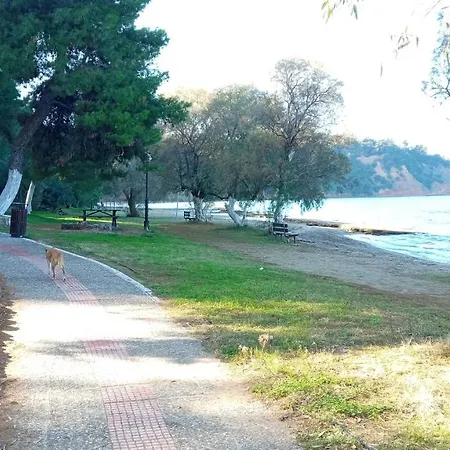 Holiday home Serenity στο συκάμινο ωρωπού Sikaminon